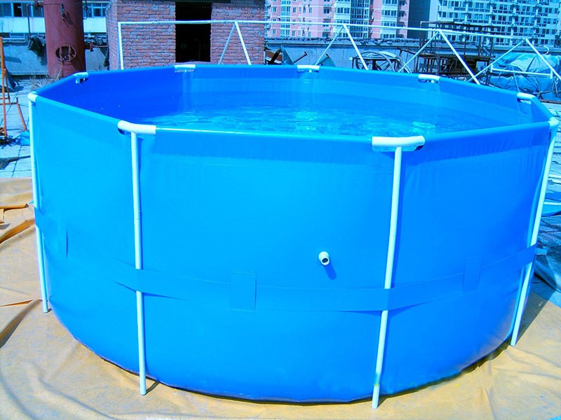 piscina de cría de carpas