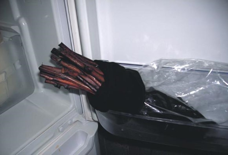almacenar esquejes en el refrigerador