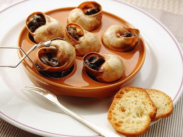 servir des escargots dans un restaurant