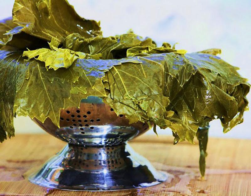 preparación de hojas en escabeche