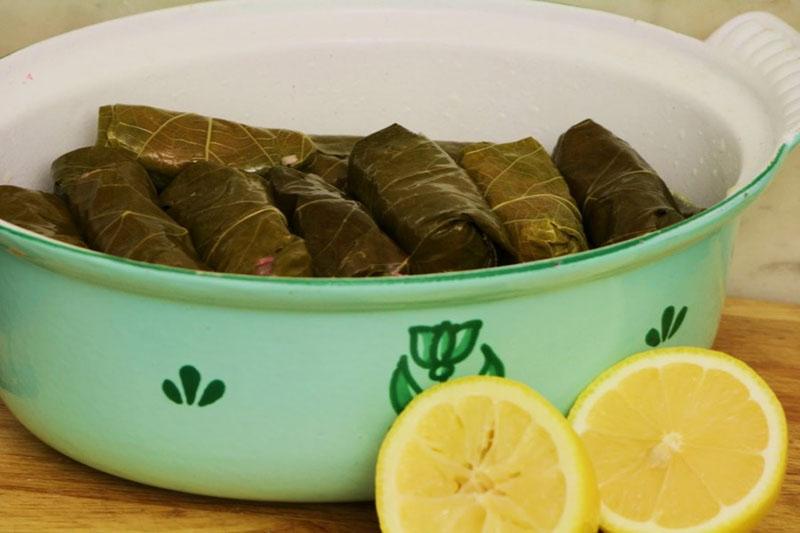 poner dolma en un gallo