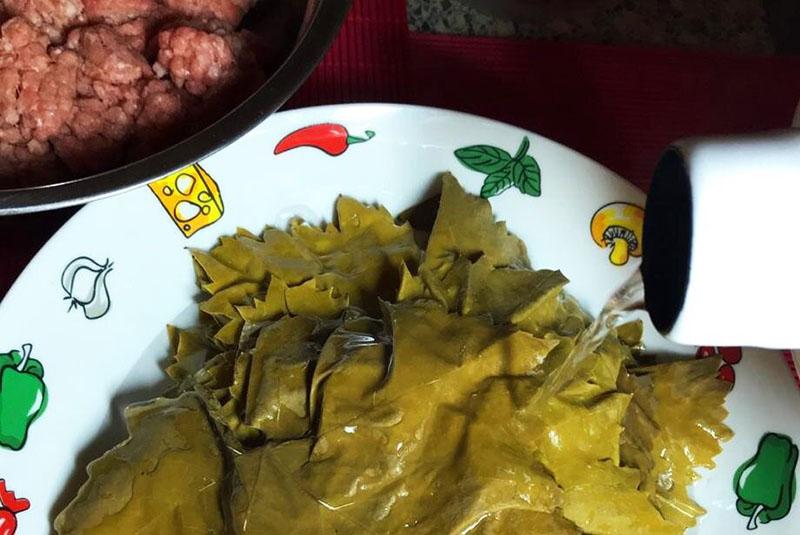 Hojas de uva