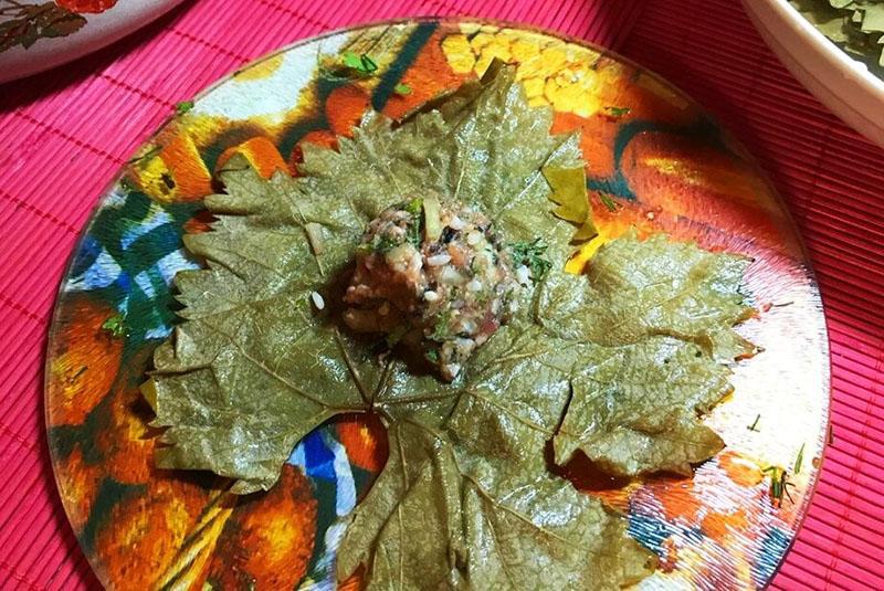 proceso de formación de dolma