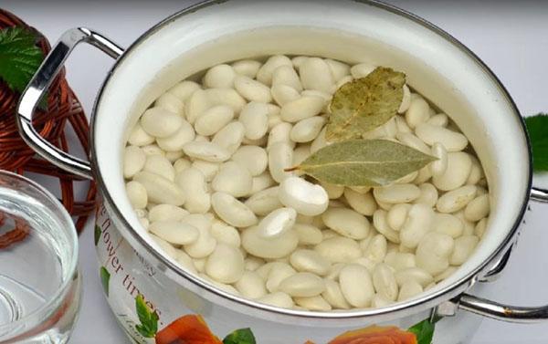faire bouillir des haricots
