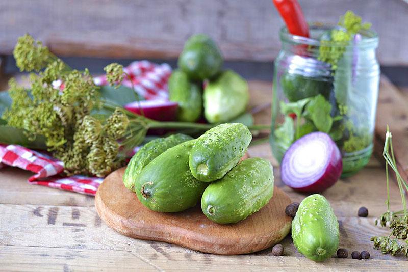 receta clásica de pepinos ligeramente salados