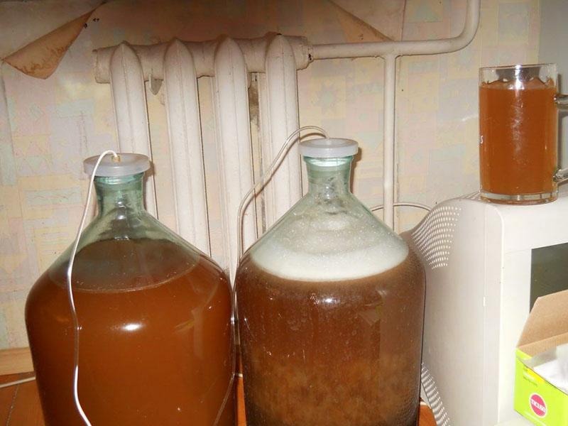 proceso de fermentación de hidromiel