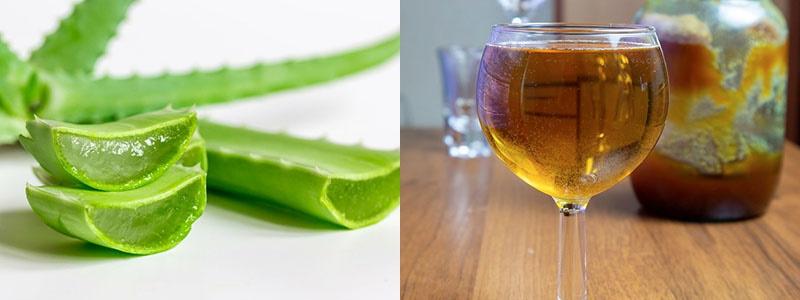 receta de hidromiel en vodka con aloe