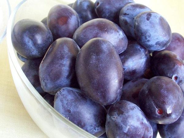 prunes mûres moyennes pour confiture