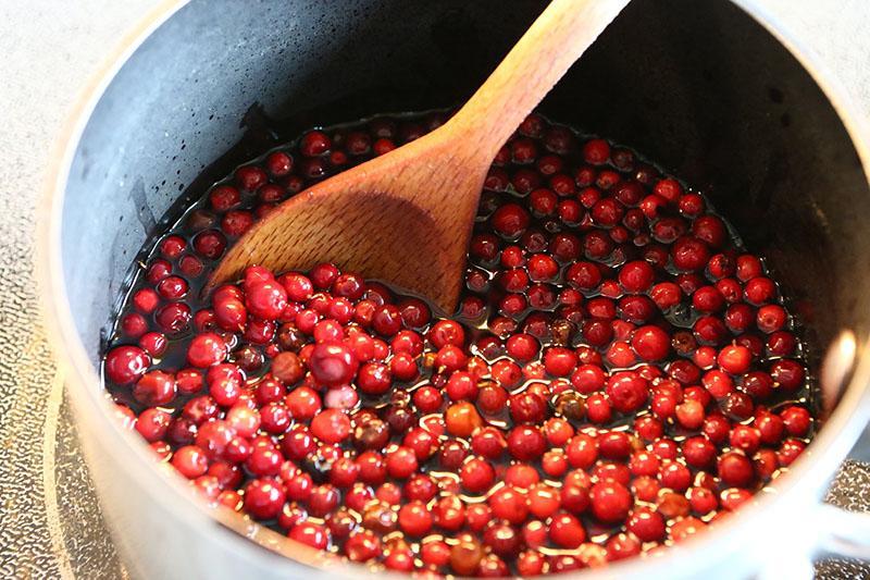 arándano rojo empapado