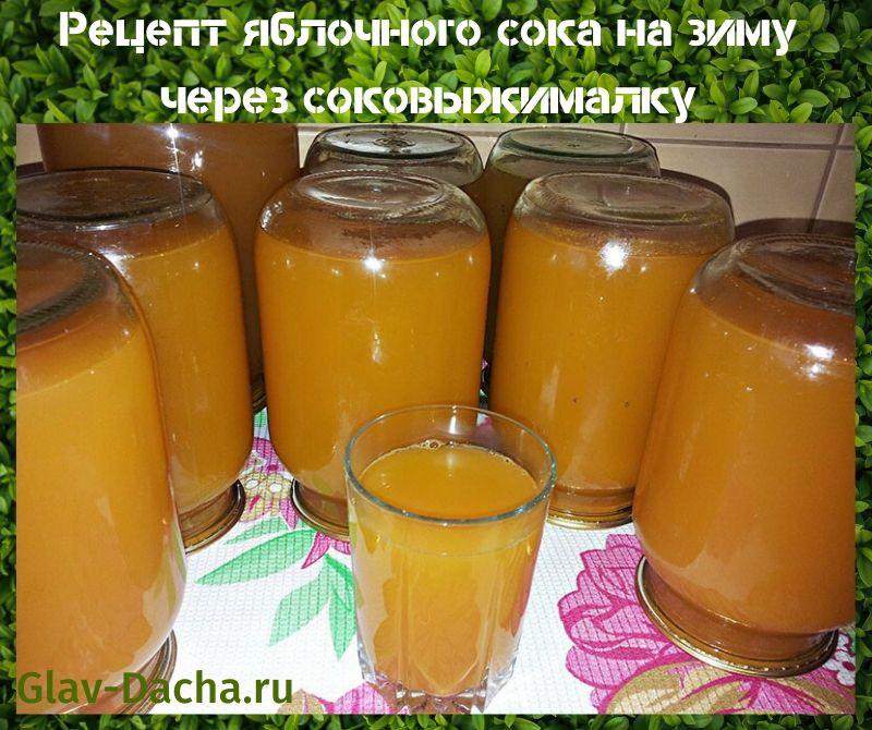 receta de jugo de manzana para el invierno a través de un exprimidor