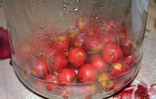 mettre l'aubépine dans un bocal