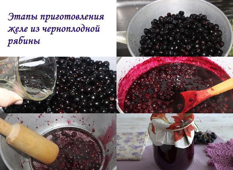 etapas de la elaboración de gelatina de chokeberry