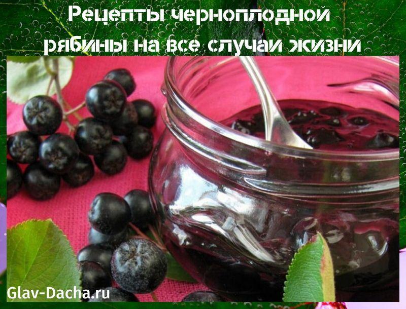 recetas de chokeberry
