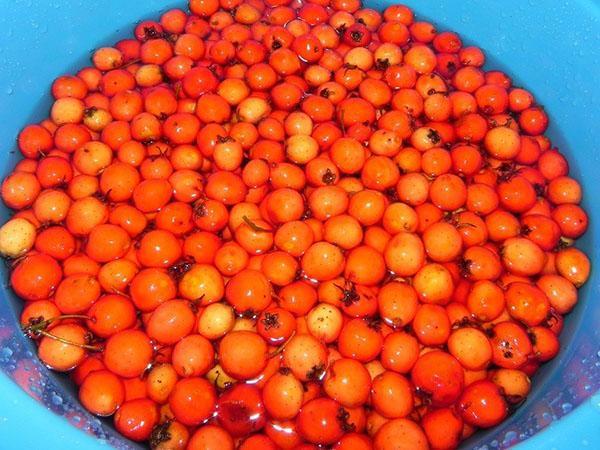 mis frutos