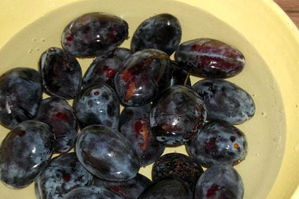 trier les prunes et laver