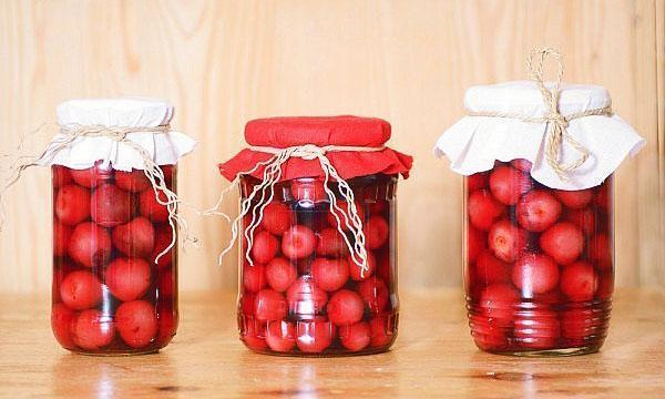 envoyer de la compote de prunes pour le stockage