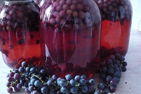cosechando uvas para el invierno