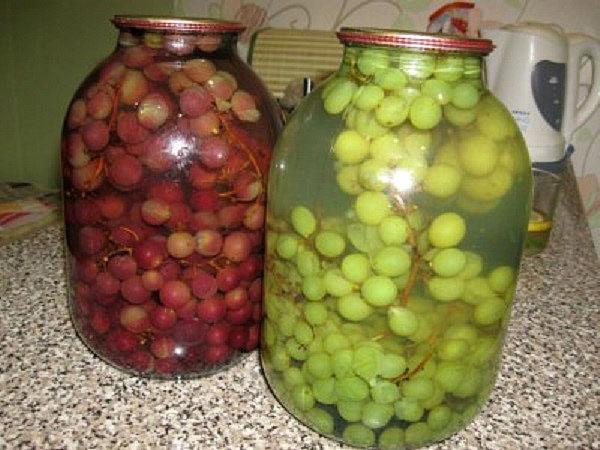 compote de raisin pour l'hiver