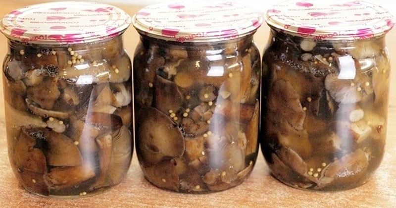 recettes pour mariner les champignons de la souris avec de la moutarde