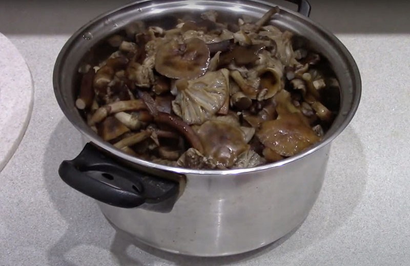 recettes pour mariner les champignons de la souris