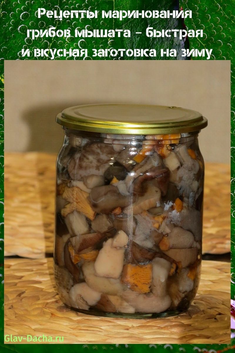 recetas para encurtir hongos ratón