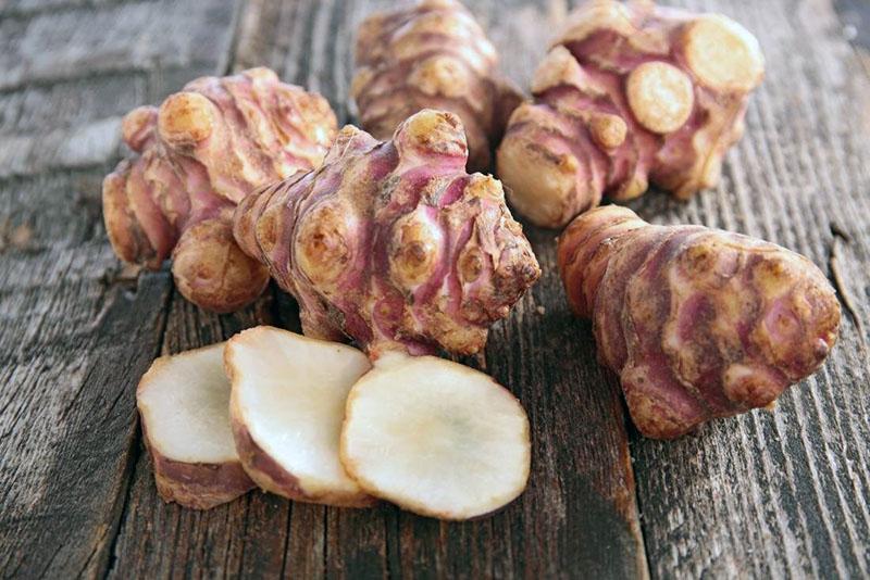 Les tubercules de topinambour sont utilisés dans l'alimentation