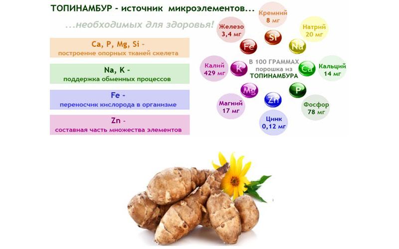 composition chimique du topinambour
