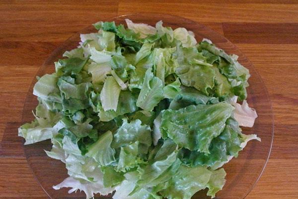 poner lechuga en una ensaladera