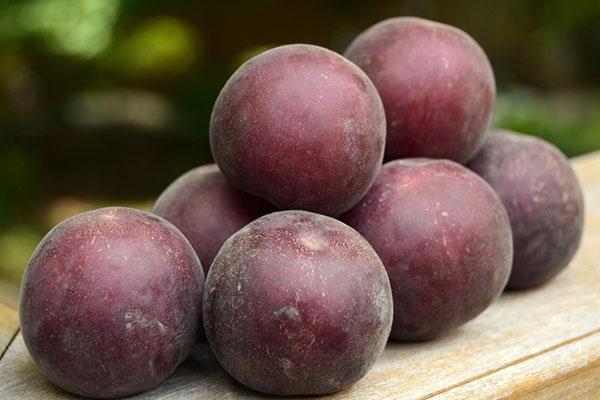 deliciosa fruta de albaricoque terciopelo negro