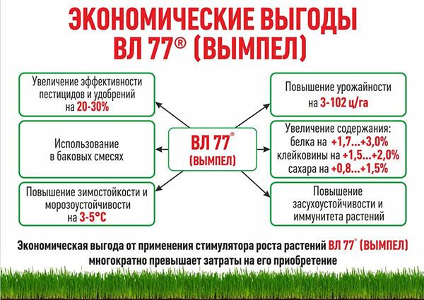 avantages économiques de l'utilisation d'un fanion