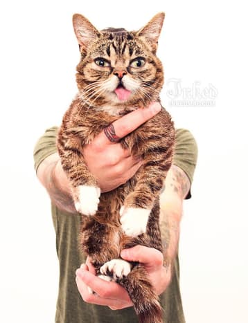 Foto von LilBub und ihrem Besitzer Mike Bridavsky.