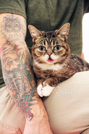 Lil Bub und ihr Typ Mike Bridavsky besuchen das Inked Office in NYC. Bridavsky zeigt sein Lil Bub Tattoo.