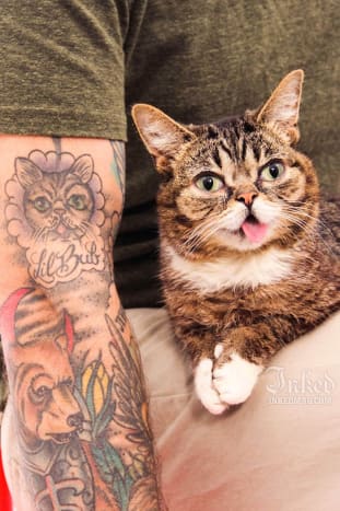 Lil Bub und ihr Typ Mike Bridavsky besuchen das Inked Office in NYC. Bridavsky zeigt sein Lil Bub Tattoo.