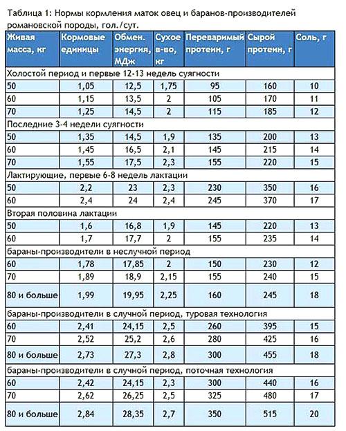 tasa de alimentación