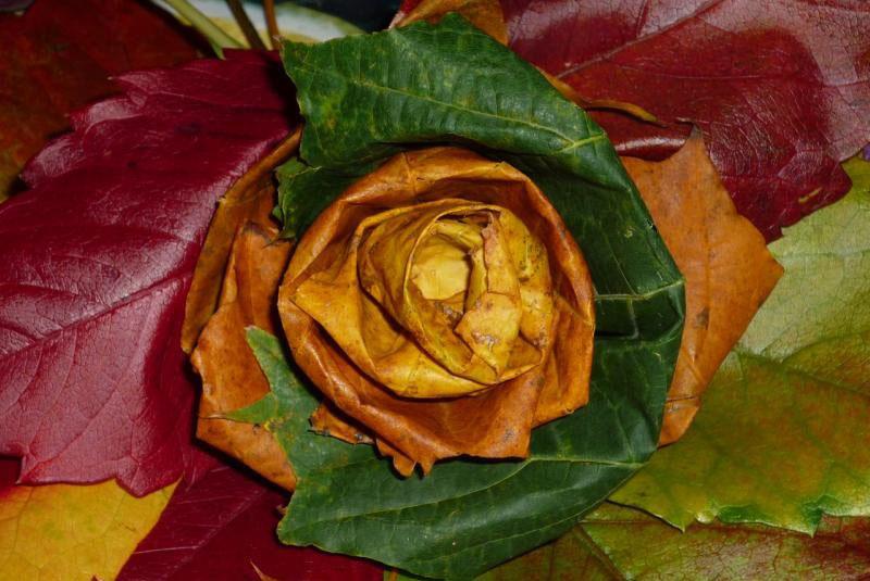 flor lista