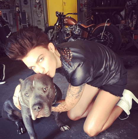 Ruby Rose mit einem Pitbull.