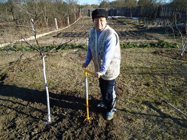à l'aide d'un cultivateur manuel dans le jardin