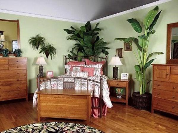 grandes plantes dans la chambre