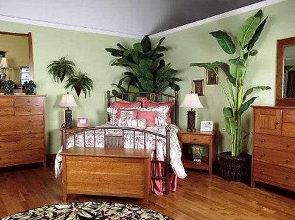 grandes plantas en el dormitorio