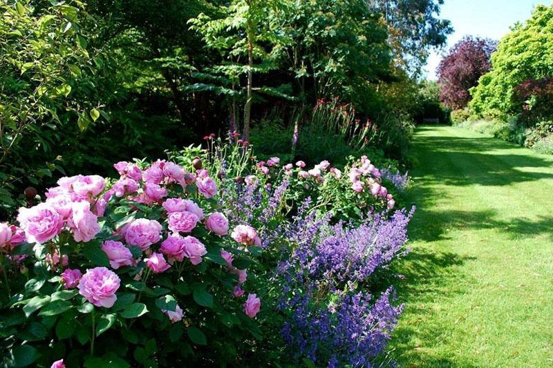 características del jardín inglés