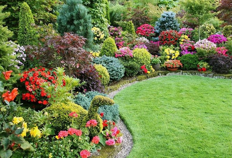 árboles, arbustos y flores en el diseño del paisaje