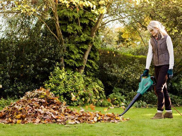 limpiar el follaje con una aspiradora de jardín