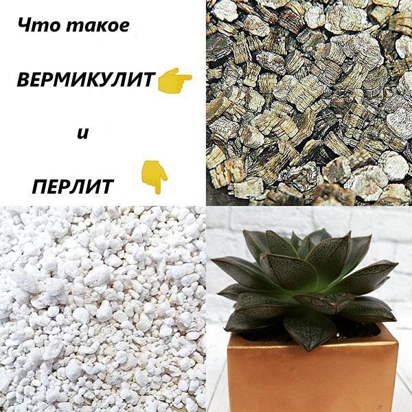 ¿Cuál es la diferencia entre perlita y vermiculita?