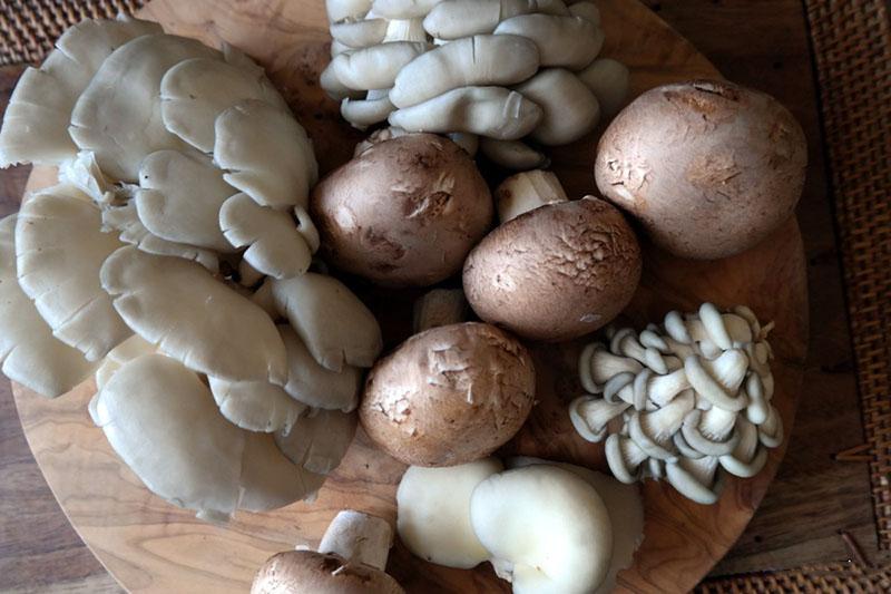 garniture pour galettes de champignons