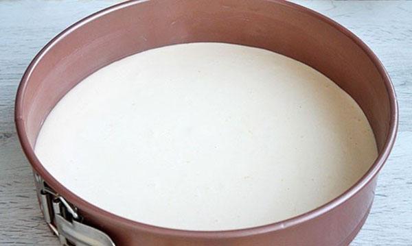 verser la pâte dans un moule et mettre à cuire
