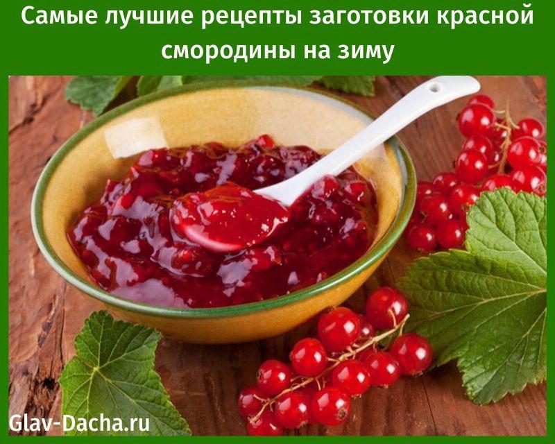 las mejores recetas para cosechar grosellas rojas para el invierno
