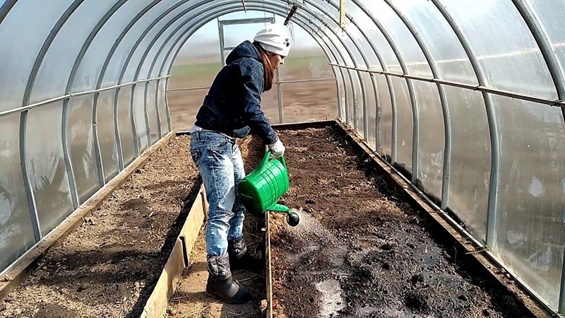 travail du sol en serre