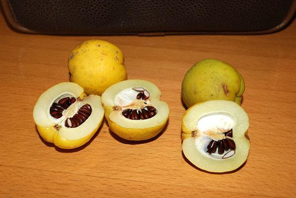 preparación de frutas para mermelada