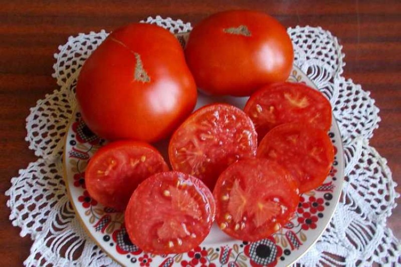 tomate fruta mongol enano