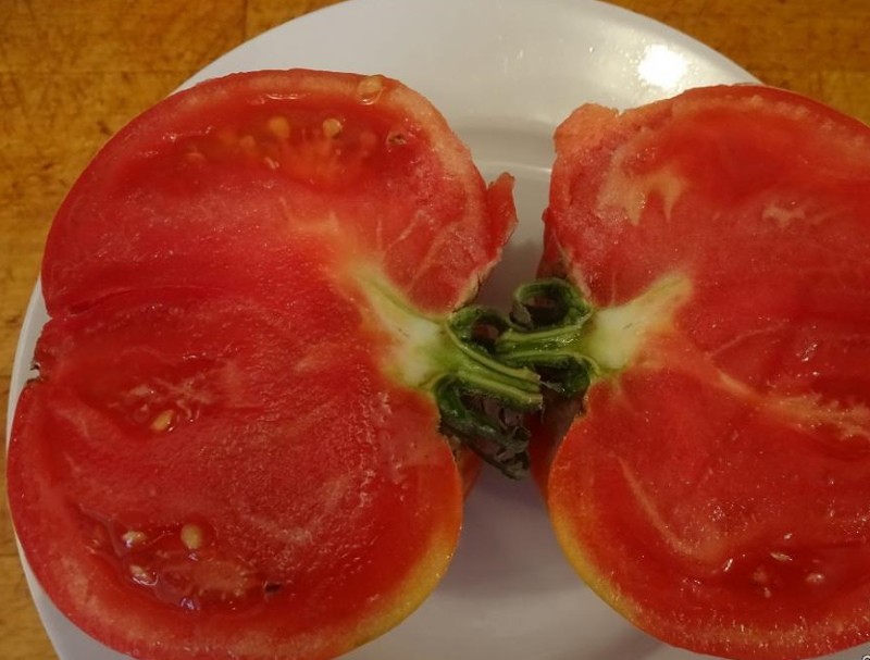 fruits de tomate korneevsky